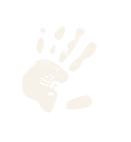 www